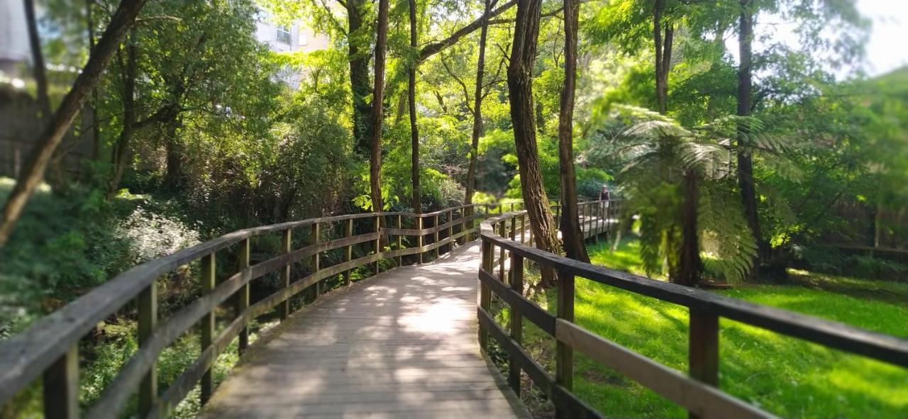 Moderno Y Luminoso 2 Dormitorios Con Todas Las Comodidades En Pontevedra Ciudad 외부 사진